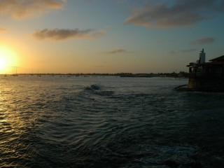 DSC_6445